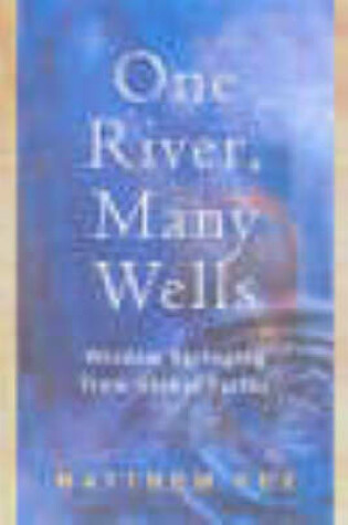 Cover of One River, Many Wells