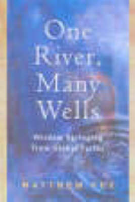 Book cover for One River, Many Wells