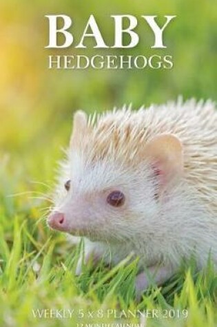 Cover of Baby Hedgehogs Weekly 5 x 8 Planner 2019