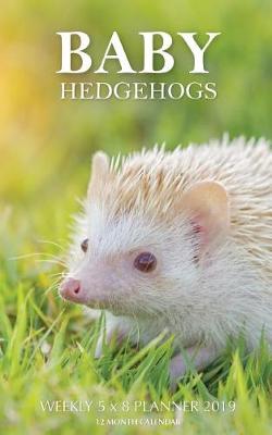 Book cover for Baby Hedgehogs Weekly 5 x 8 Planner 2019