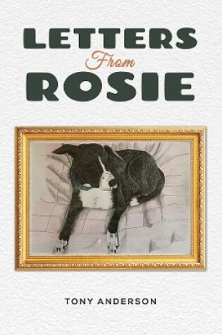 Cover of Letters from Rosie