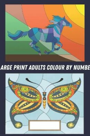 Cover of Large Print Adults Colour by Number