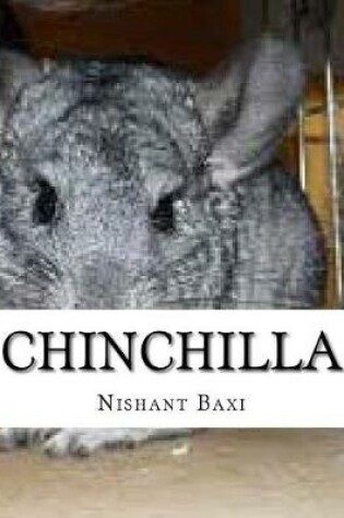 Cover of Chinchilla