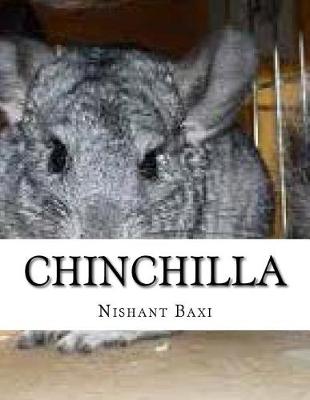 Book cover for Chinchilla