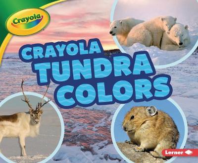 Book cover for Crayola (R) Tundra Colors
