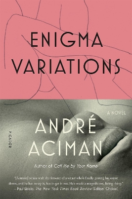 Book cover for Enigma Variations