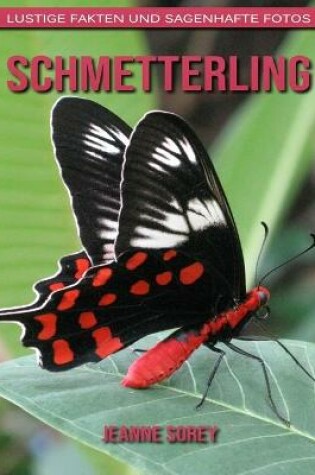 Cover of Schmetterling