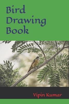 Book cover for Bird Drawing Book