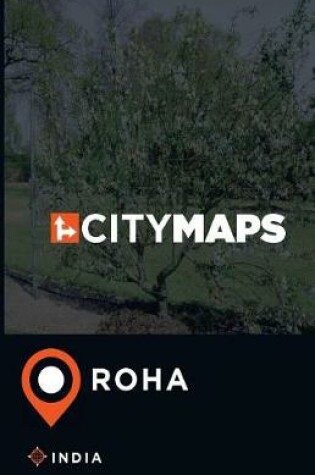 Cover of City Maps Roha India