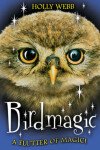Book cover for Birdmagic