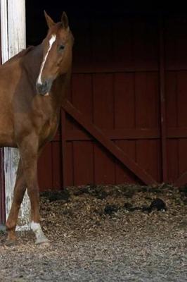 Cover of Journal Standing Chestnut Equine Horse