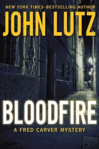 Cover of Bloodfire