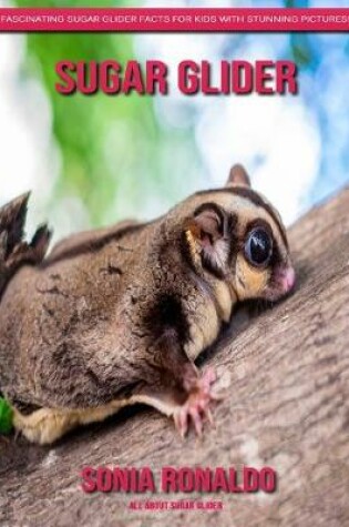 Cover of All About Sugar Glider