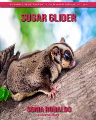 Book cover for All About Sugar Glider