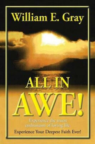 Cover of All in Awe!