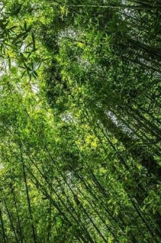 Cover of Bamboo Forest Exercise Book With 150 Lined Pages