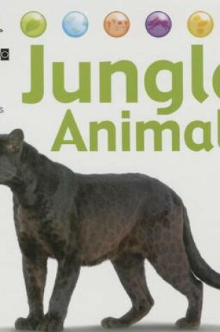 Cover of Jungle Animals