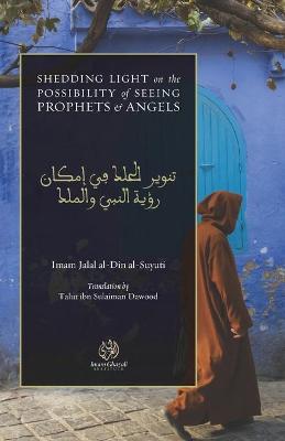 Book cover for Shedding Light on the Possibility of Seeing Prophets and Angels