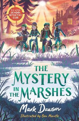 Book cover for The Mystery in the Marshes
