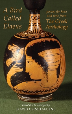 Book cover for A Bird Called Elaeus