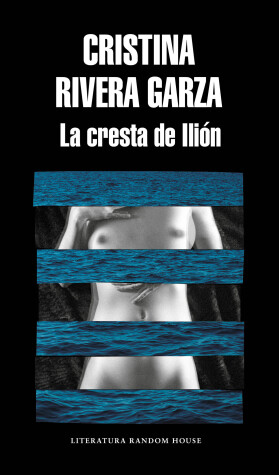 Book cover for La cresta de Ilión / The Iliac Crest