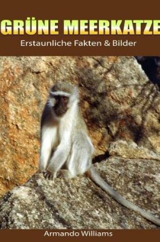 Cover of Grune Meerkatze