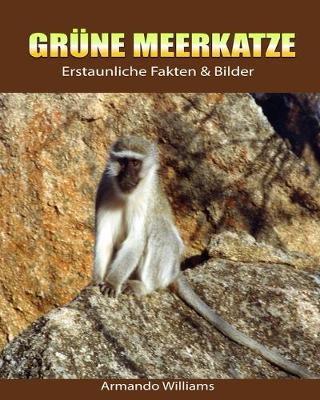 Book cover for Grune Meerkatze