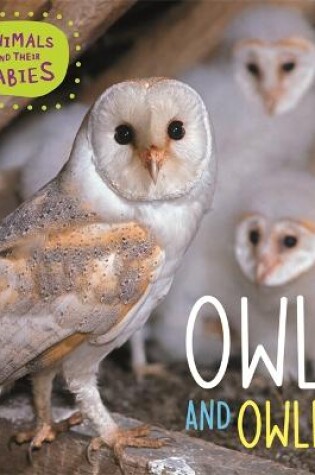 Cover of Animals and their Babies: Owls & Owlets