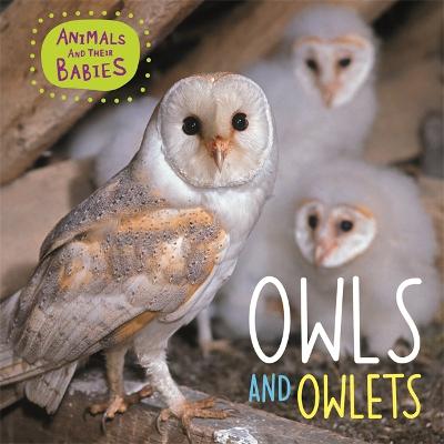 Cover of Animals and their Babies: Owls & Owlets