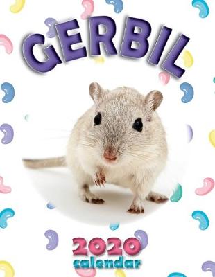 Book cover for Gerbil 2020 Calendar
