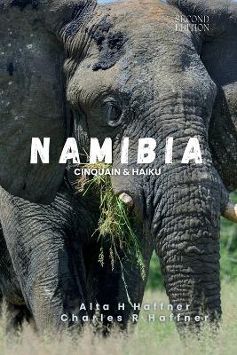 Book cover for Namibia