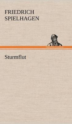 Book cover for Sturmflut