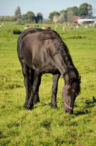 Cover of A Horse Grazing, for the Love of Animals