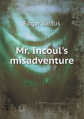 Book cover for Mr. Incoul's misadventure