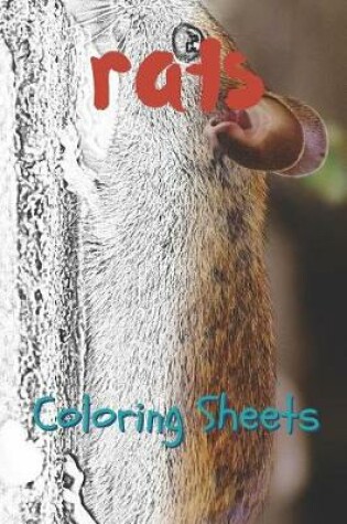 Cover of Rat Coloring Sheets