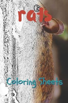 Book cover for Rat Coloring Sheets