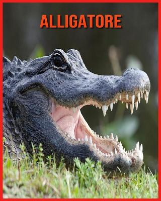 Book cover for Alligatore