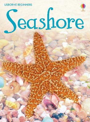 Cover of Seashore