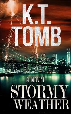 Book cover for Stormy Weather