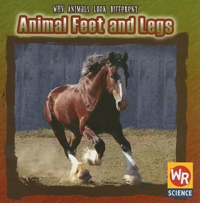 Book cover for Animal Feet and Legs