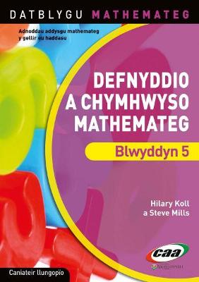 Book cover for Datblygu Mathemateg: Defnyddio a Chymhwyso Mathemateg Blwyddyn 5