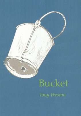 Book cover for Bucket