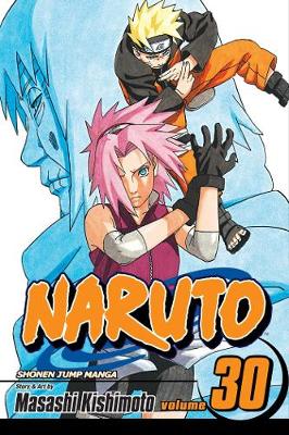 Book cover for Naruto, Vol. 30