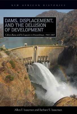 Book cover for Dams, Displacement, and the Delusion of Development