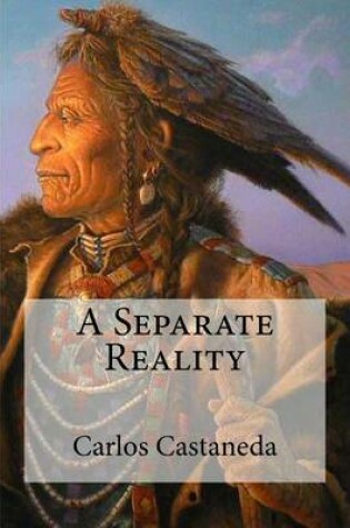 Cover of A Separate Reality