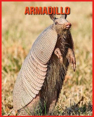 Book cover for Armadillo