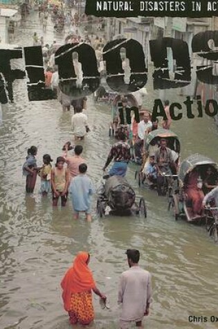 Cover of Floods in Action