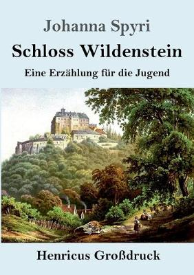 Book cover for Schloss Wildenstein (Großdruck)