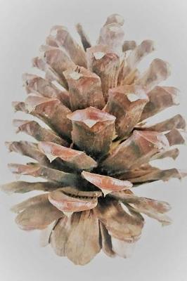 Cover of Pine Cone Notebook