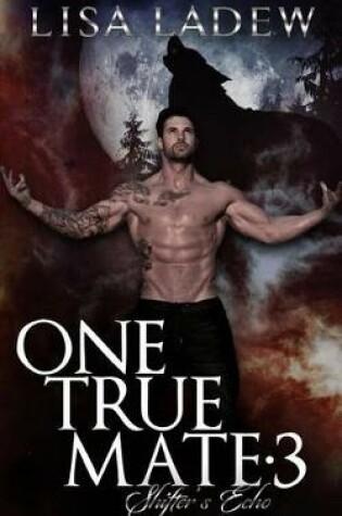 Cover of One True Mate 3